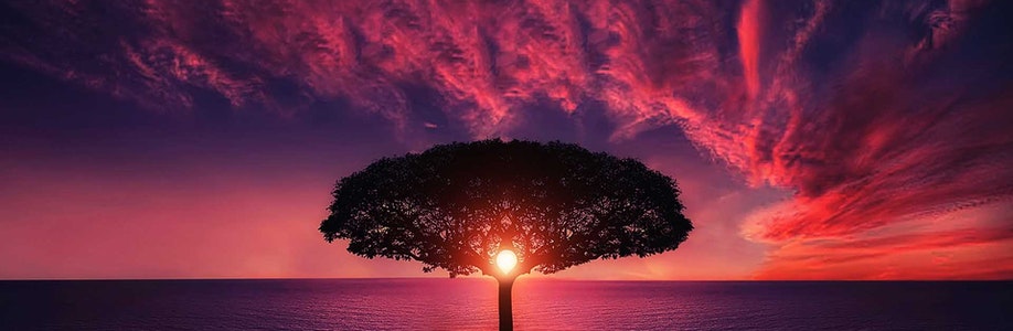 Client Cover Image